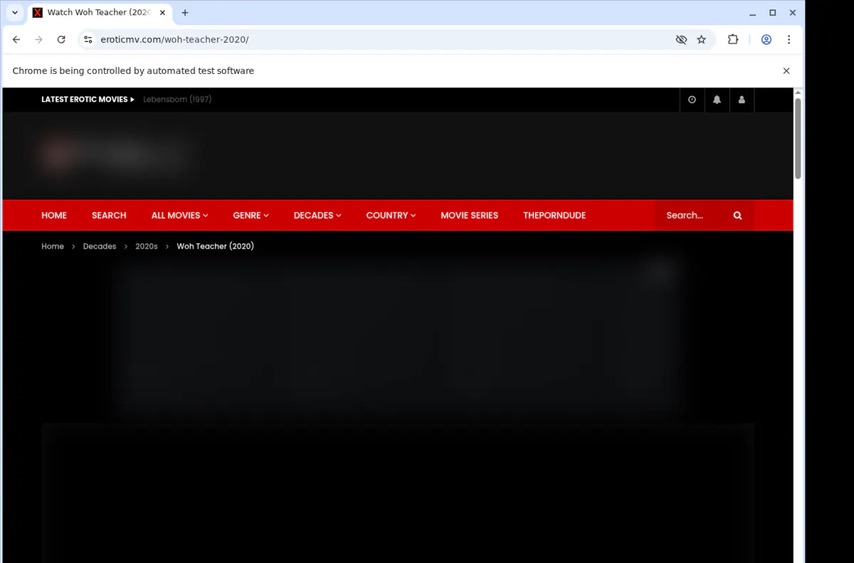 Eroticmv Video Downloader screenshot 2