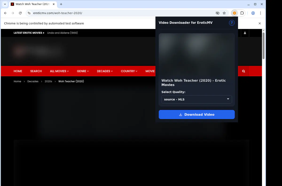 Eroticmv Video Downloader screenshot 3